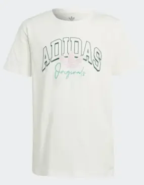 Adidas Camiseta Collegiate Graphic Pack BF