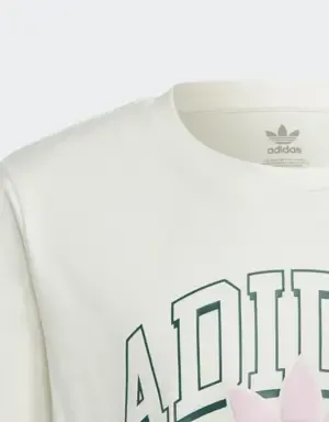 Adidas Camiseta Collegiate Graphic Pack BF