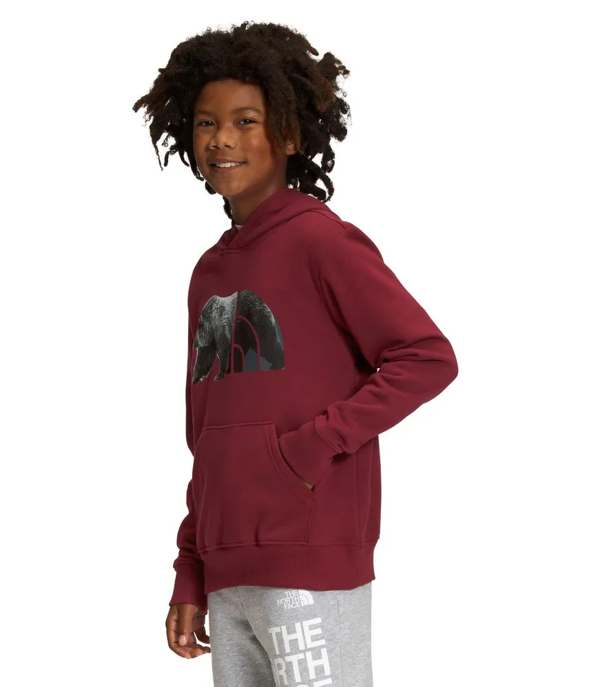 Buzo Camp Fleece P/O Deportivo Vinotinto Niño The North Face