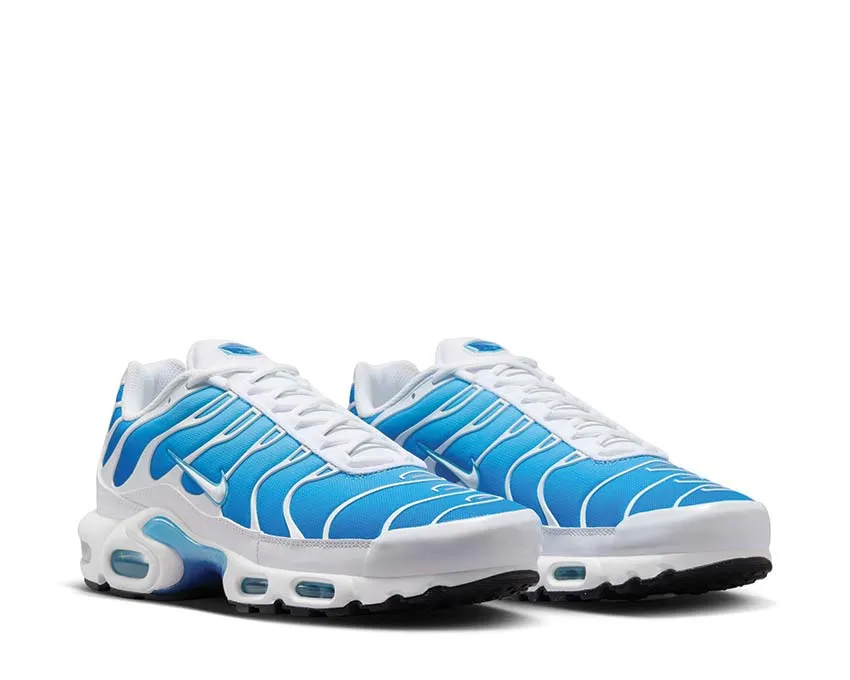 Nike Air Max Plus Sky Blue