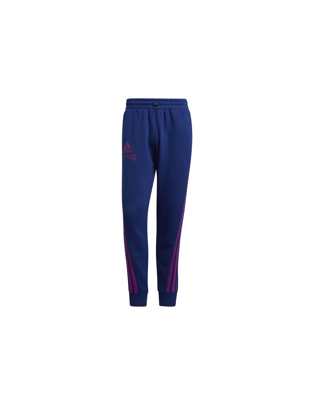 Pantalones largos adidas Reverse Retro Future Icons Winterized Graphic M Blue/Violet