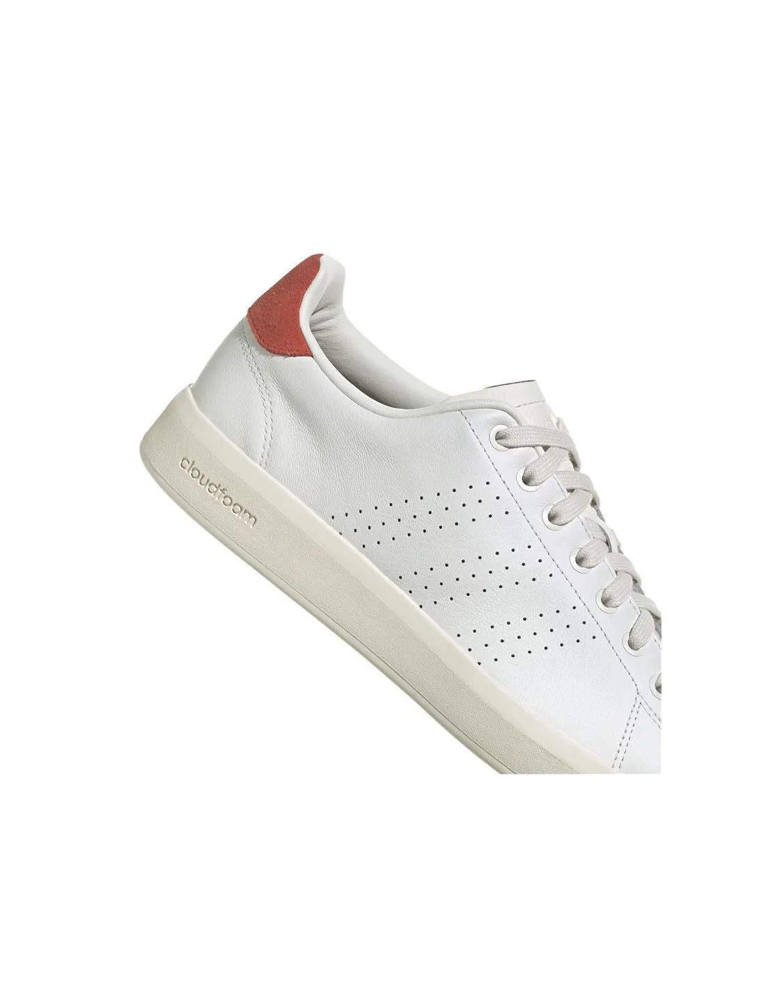 Zapatillas adidas Advantage Premium Hombre